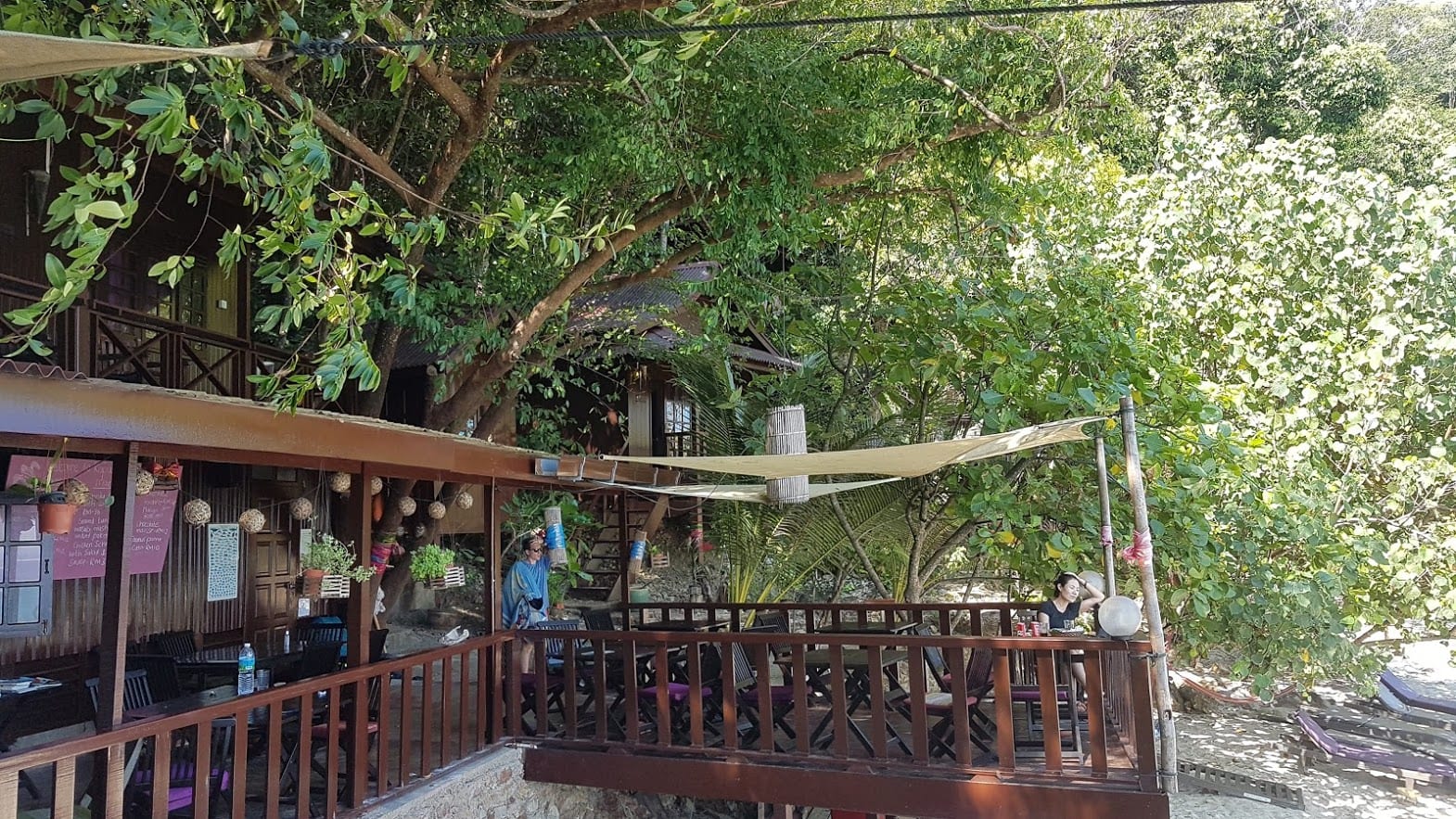 Kapas Turtle Valley