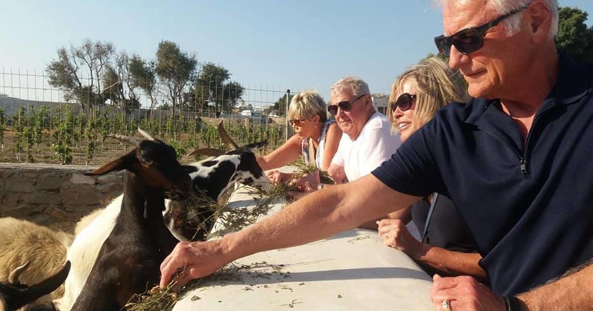 Mykonos: Evening Visit to a Traditional Farmhouse