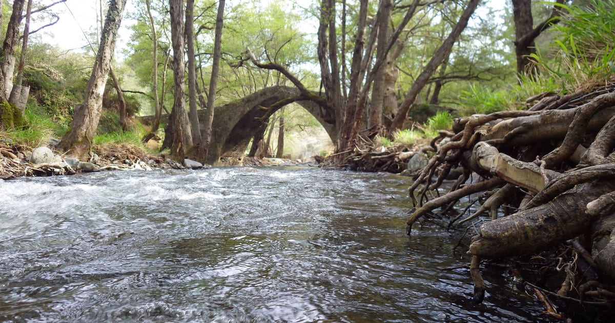 Cyprus 6-Hour Rural Village Tour and Wineries