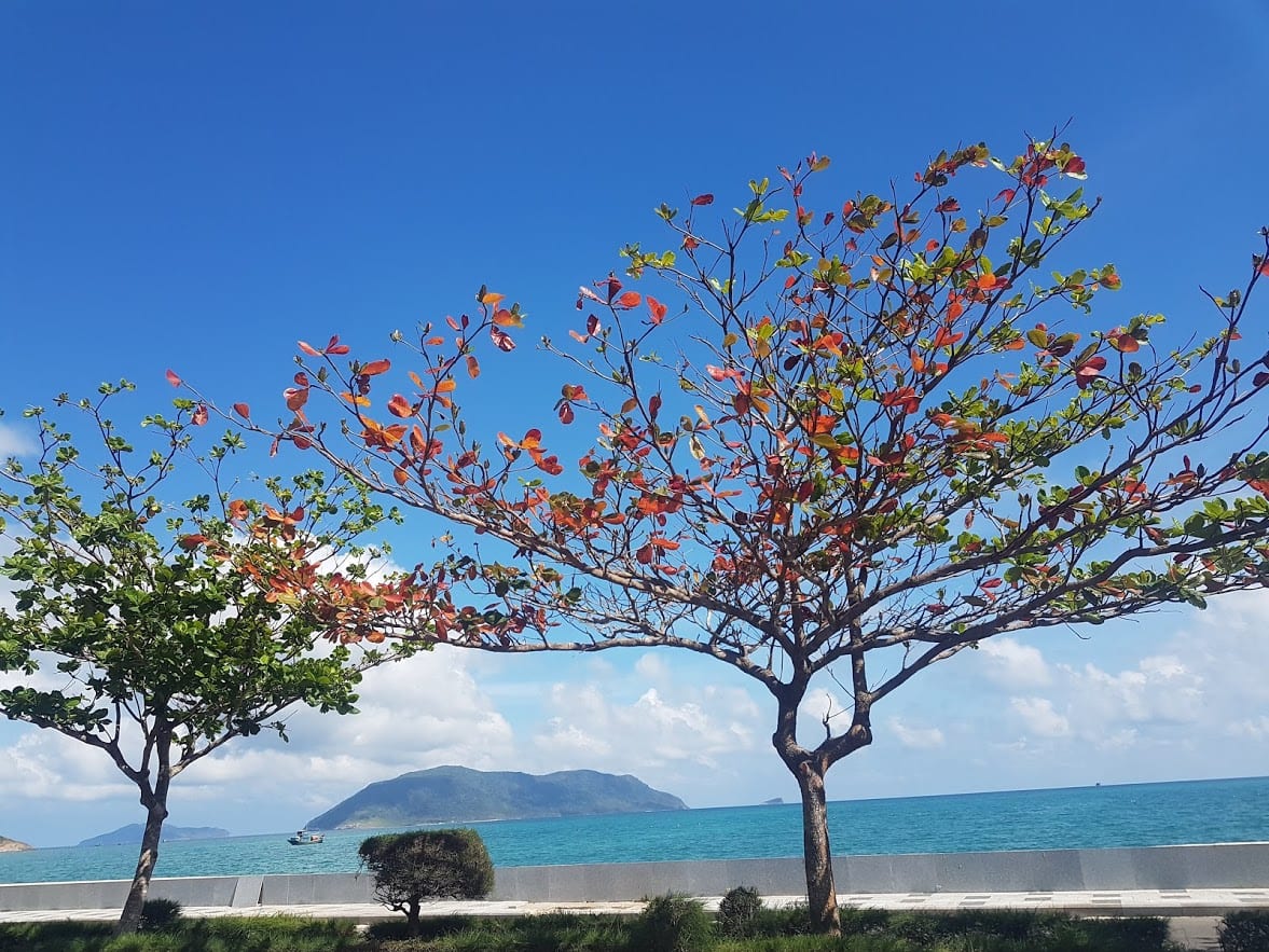 Con Dao promenade