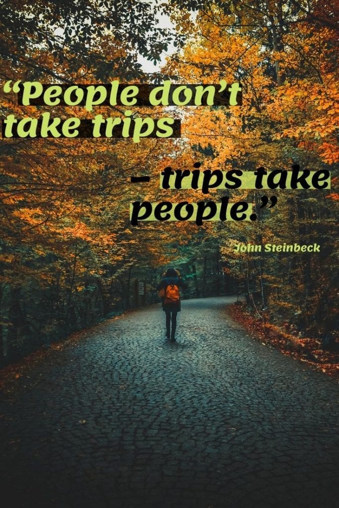 People don’t take trips – trips take people.