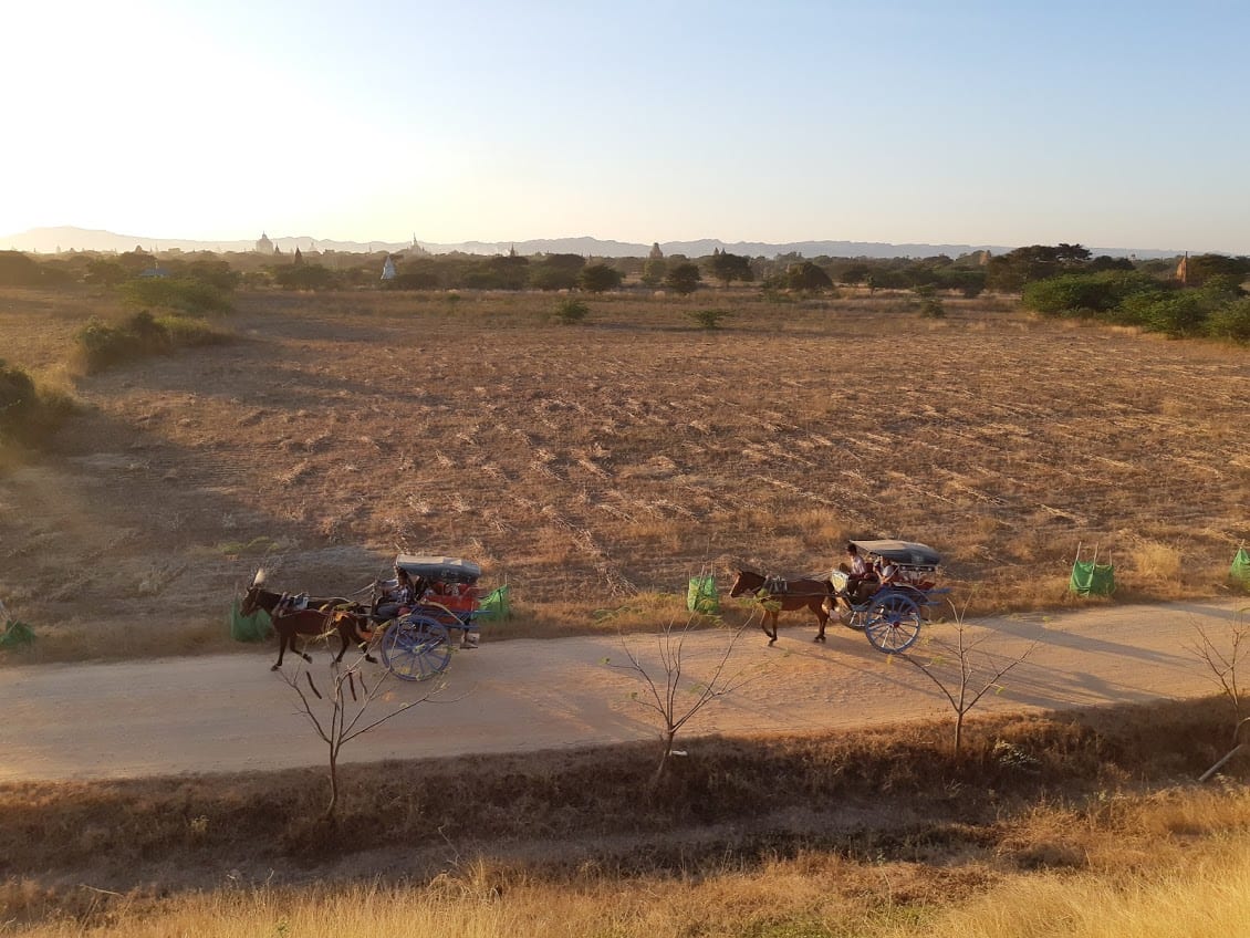 Some people travel by horse and carriage around Bagan in Myanmar