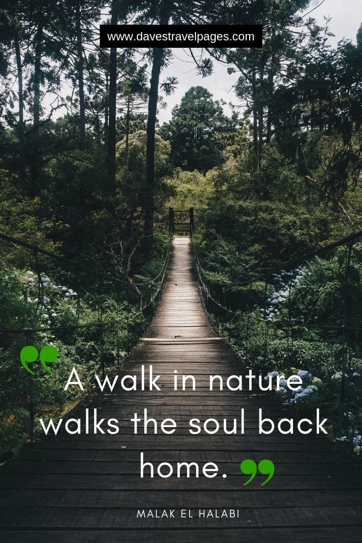 Great quotes - “A walk in nature walks the soul back home.”