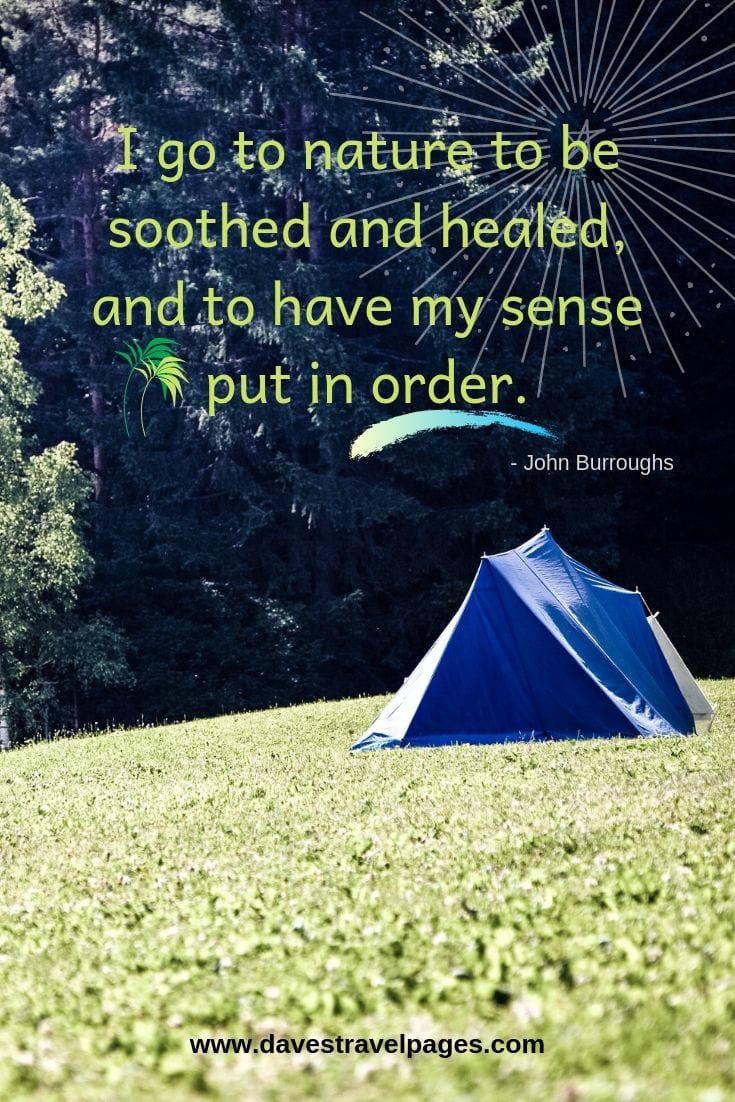 Quotes about nature - "I go to nature to be soothed and healed, and to have my sense put in order."