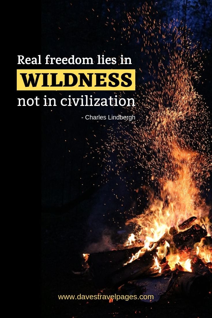 Living in the wild quotes - "Real freedom lies in wildness, not in civilization."