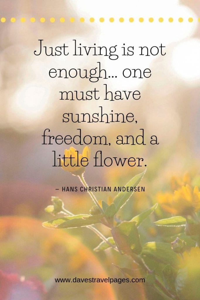 Philosophical Quotes About Living - Just living is not enough… one must have sunshine, freedom, and a little flower.” – Hans Christian Andersen