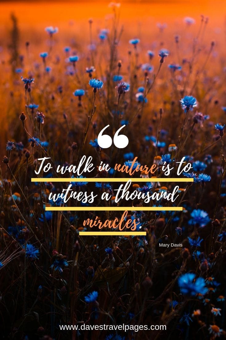 Walking quotes - “To walk in nature is to witness a thousand miracles.”