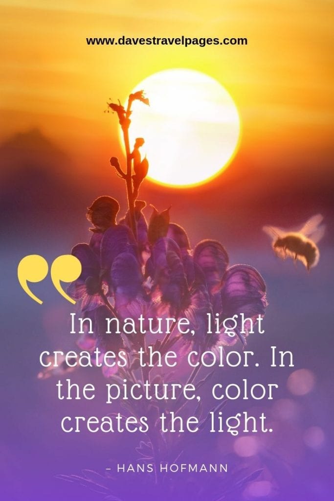 Natural World Quotes: “In nature, light creates the color. In the picture, color creates the light.” – Hans Hofmann