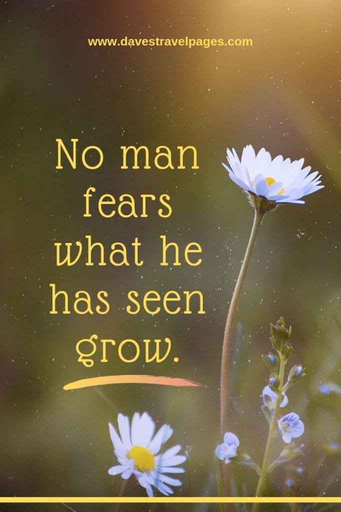 No man fears what he has seen grow. - African Proverb