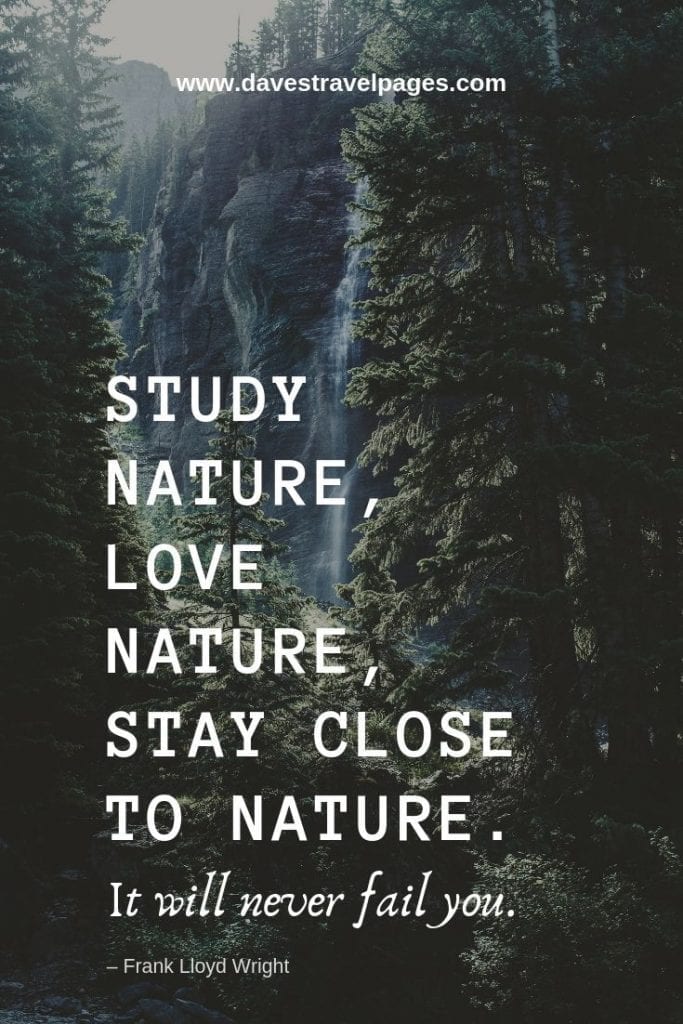 Quotes about enjoying nature - “Study nature, love nature, stay close to nature. It will never fail you.” – Frank Lloyd Wright