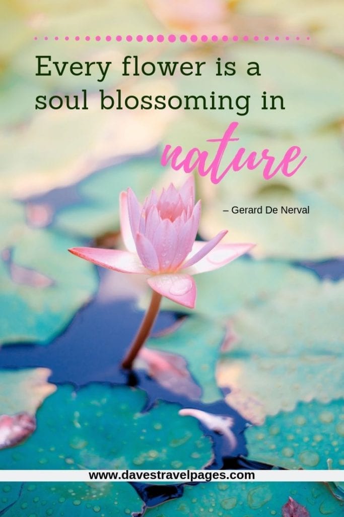 Beautiful nature quotes - “Every flower is a soul blossoming in nature.” – Gerard De Nerval