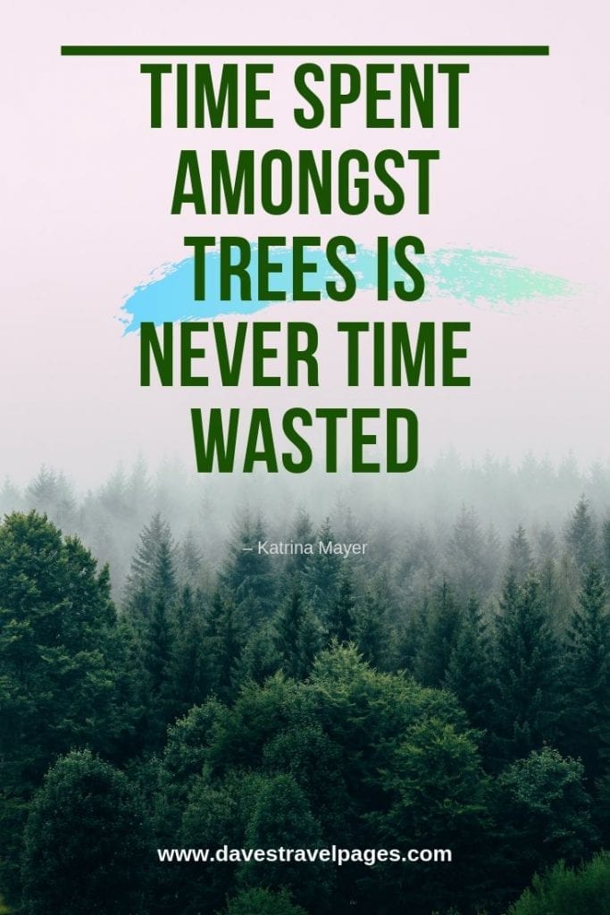 Quotes about trees - “Time spent amongst trees is never time wasted.” – Katrina Mayer