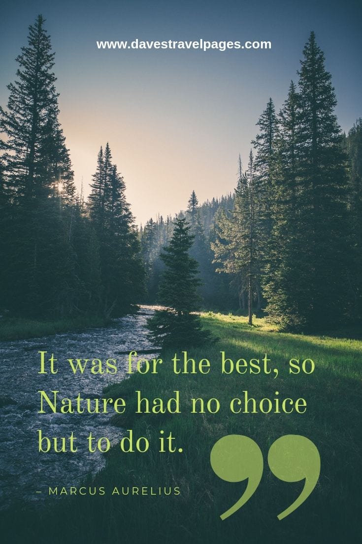 Mother Nature Quotes - “It was for the best, so Nature had no choice but to do it.” – Marcus Aurelius