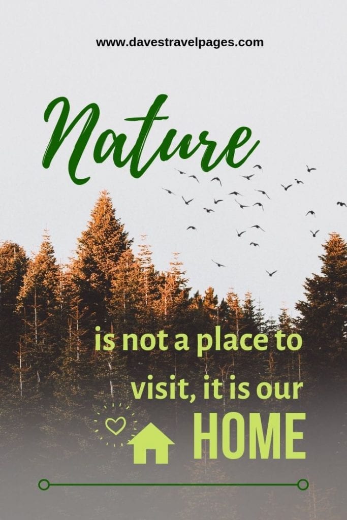 Quotes about living in nature: Nature is not a place to visit, it is our home