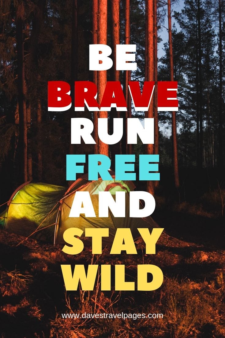 Inspirational Quotes - “Be Brave Run Free And Stay Wild”