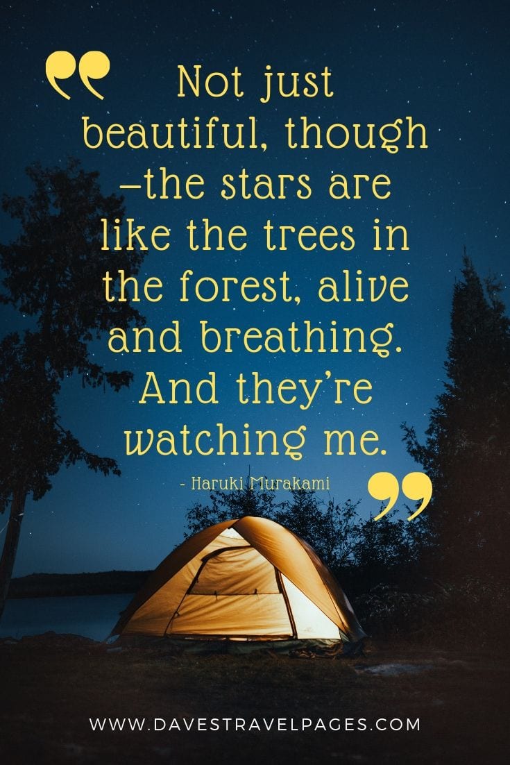 Quotes about being outdoor in the stars:Not just beautiful, though—the stars are like the trees in the forest, alive and breathing. And they’re watching me.