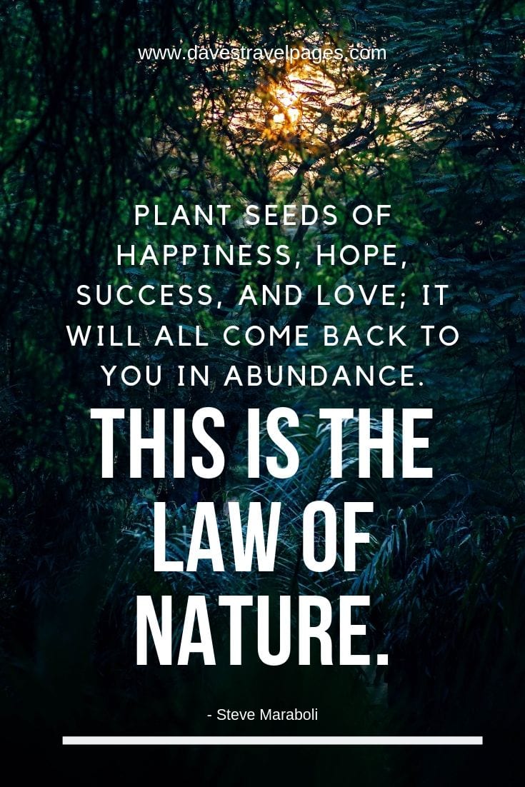 Laws of Nature Quotes: Plant seeds of happiness, hope, success, and love; it will all come back to you in abundance. This is the law of nature