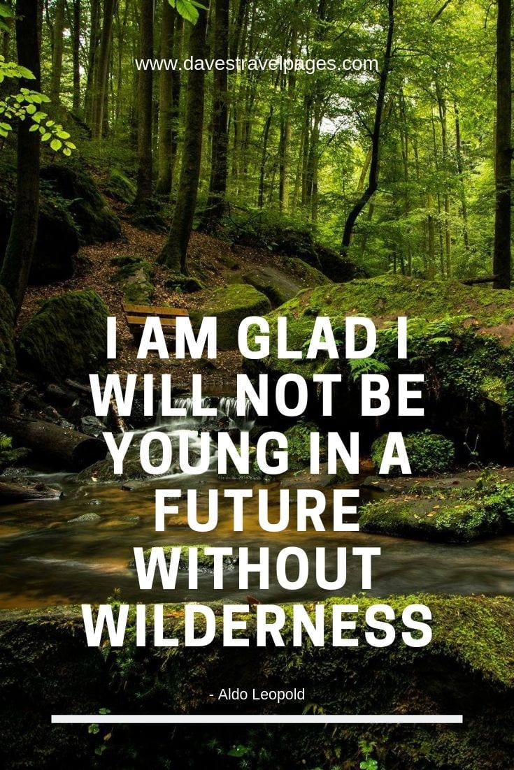 Outdoor and Wilderness Quote - I am glad I will not be young in a future without wilderness.