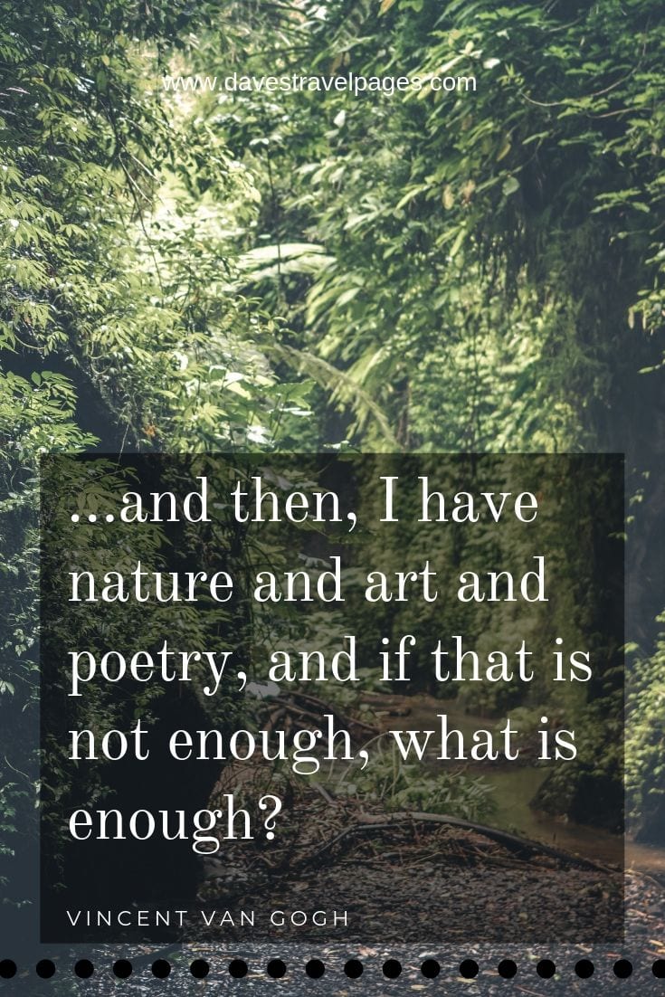 Van Gogh Quote - …and then, I have nature and art and poetry, and if that is not enough, what is enough?