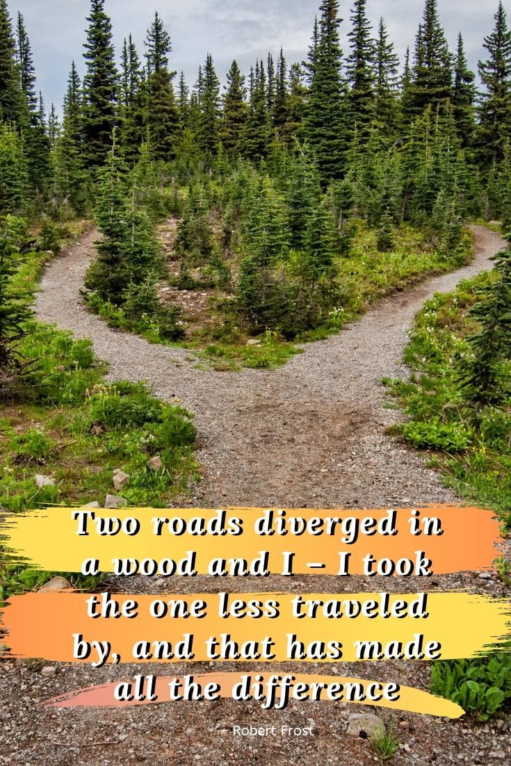Two roads diverged in a wood and I – I took the one less traveled by, and that has made all the difference