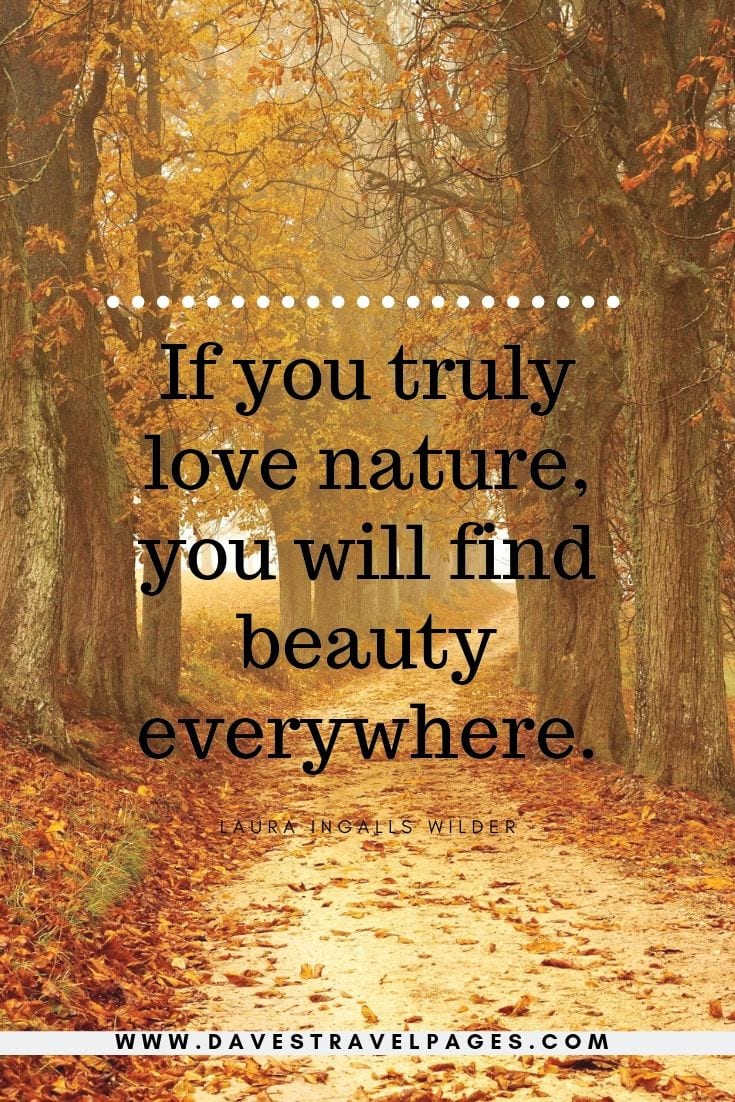 Nature Quotes - If you truly love nature, you will find beauty everywhere.