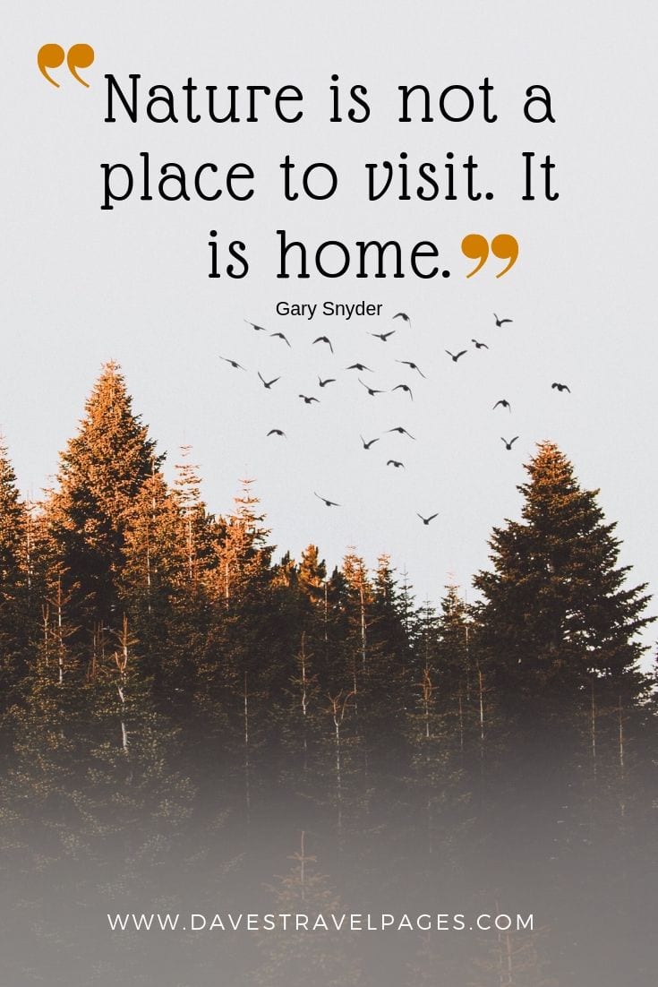 Quotes about nature - “Nature is not a place to visit. It is home.”