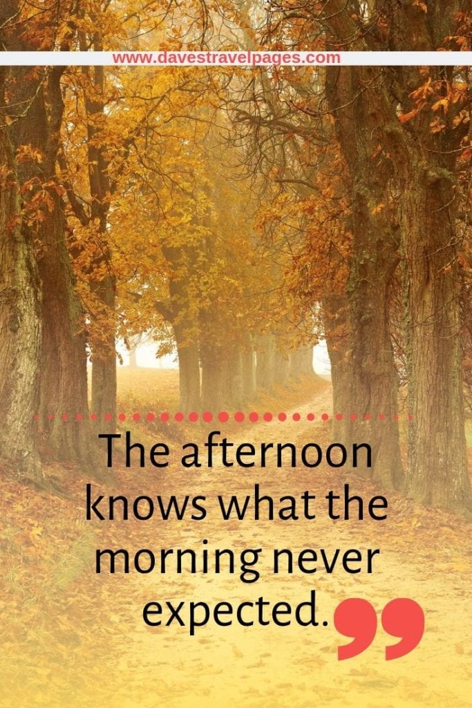 Inspiring Quotes: The afternoon knows what the morning never expected. 