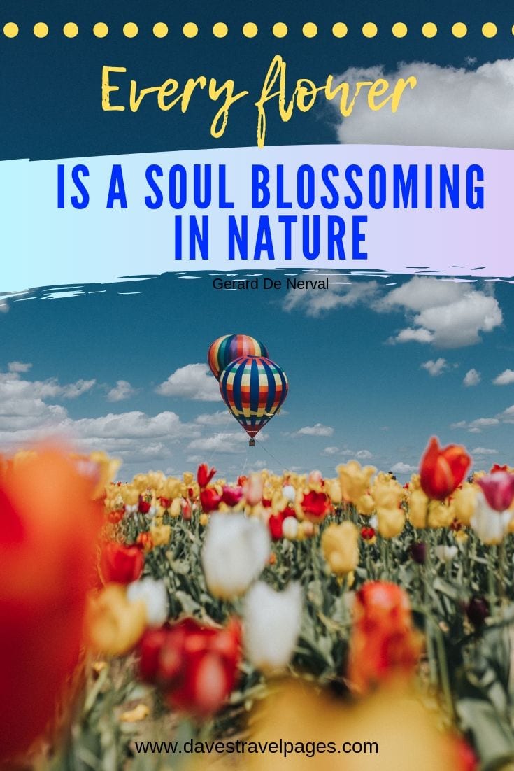 Nature and Outdoor Quotes - Every flower is a soul blossoming in nature.