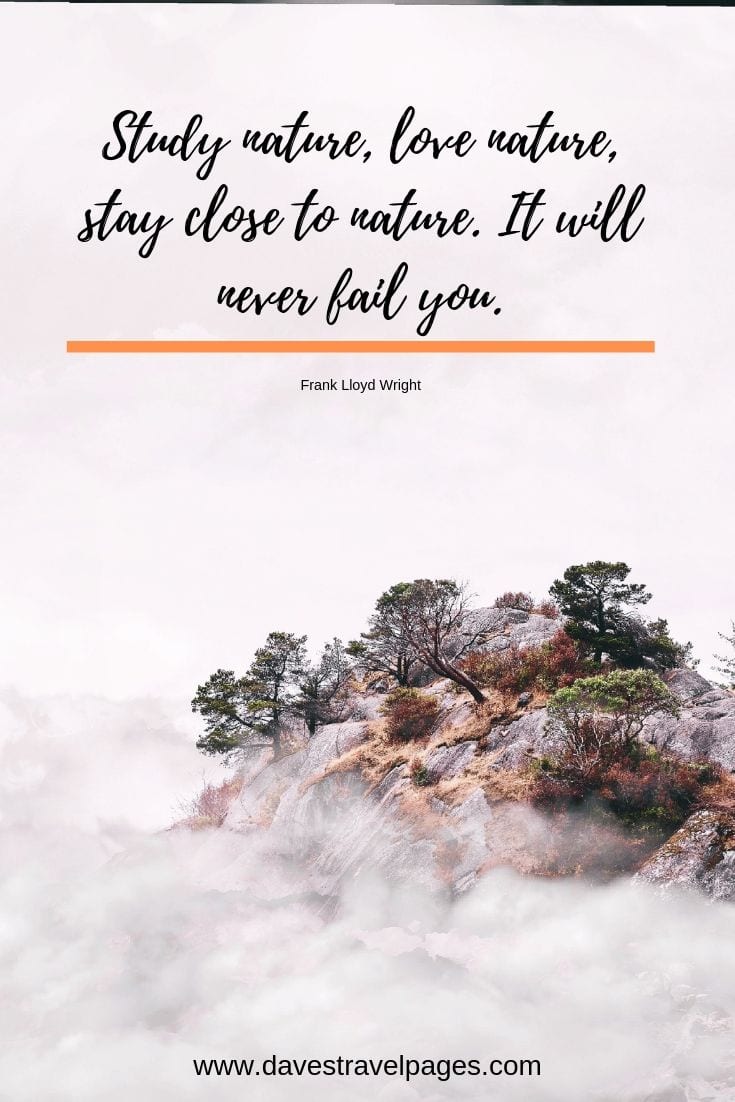 Outdoor quotations: Study nature, love nature, stay close to nature. It will never fail you.