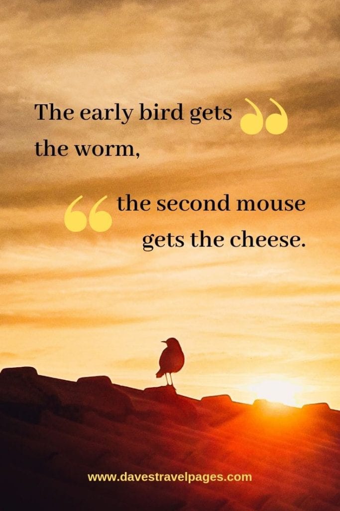 Funny nature quotes: The early bird gets the worm, the second mouse gets the cheese.