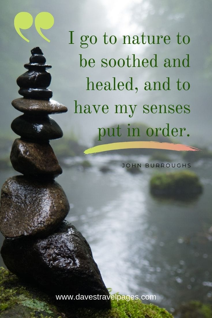 Quotes about soothing nature - "I go to nature to be soothed and healed, and to have my senses put in order."