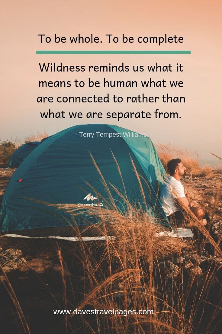 Call of the Wild quotes - "To be whole. To be complete. Wildness reminds us what it means to be human, what we are connected to rather than what we are separate from."