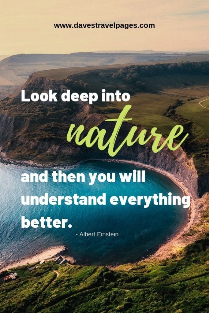 Look deep into nature, and then you will understand everything better. - Albert Einstein nature quote