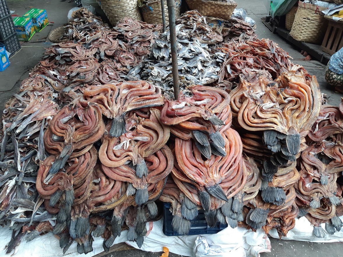 Strange dried food at the local market in Mandalay Myanmar