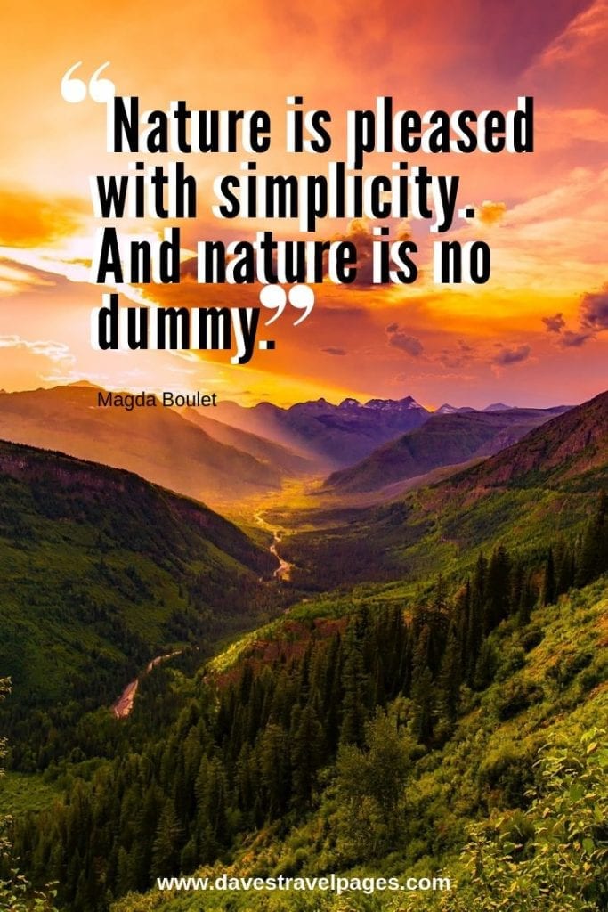 Natural World Quotes: “Nature is pleased with simplicity. And nature is no dummy.” – Magda Boulet