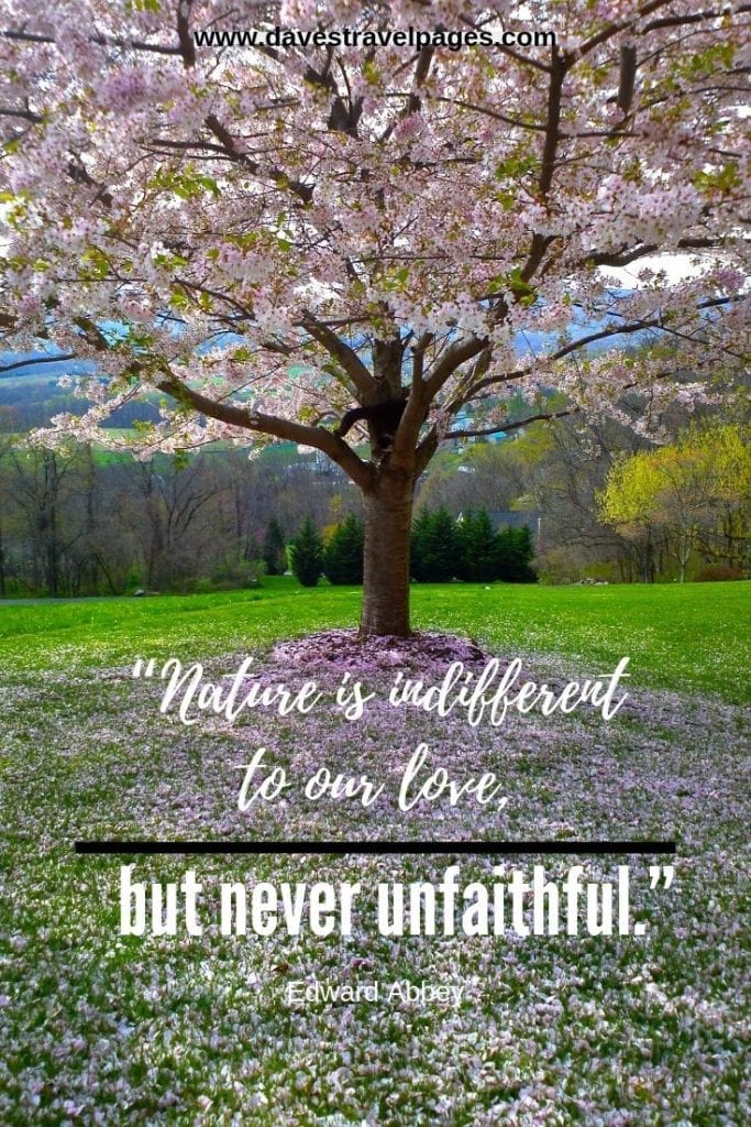 Love and nature quotes: “Nature is indifferent to our love, but never unfaithful.” – Edward Abbey