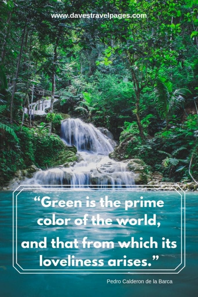 Green Quotes: “Green is the prime color of the world, and that from which its loveliness arises.” – Pedro Calderon de la Barca