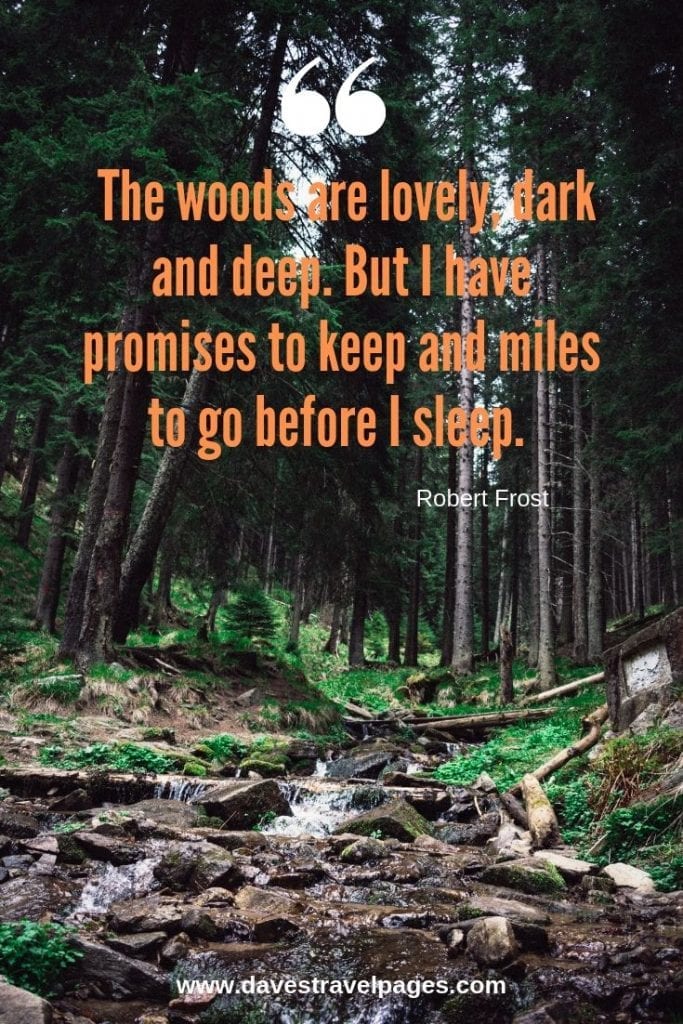 Quotes about the woods and forests: “The woods are lovely, dark and deep. But I have promises to keep and miles to go before I sleep. ” – Robert Frost