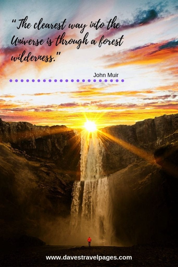 Forest and Wilderness sayings: “The clearest way into the Universe is through a forest wilderness.” - John Muir