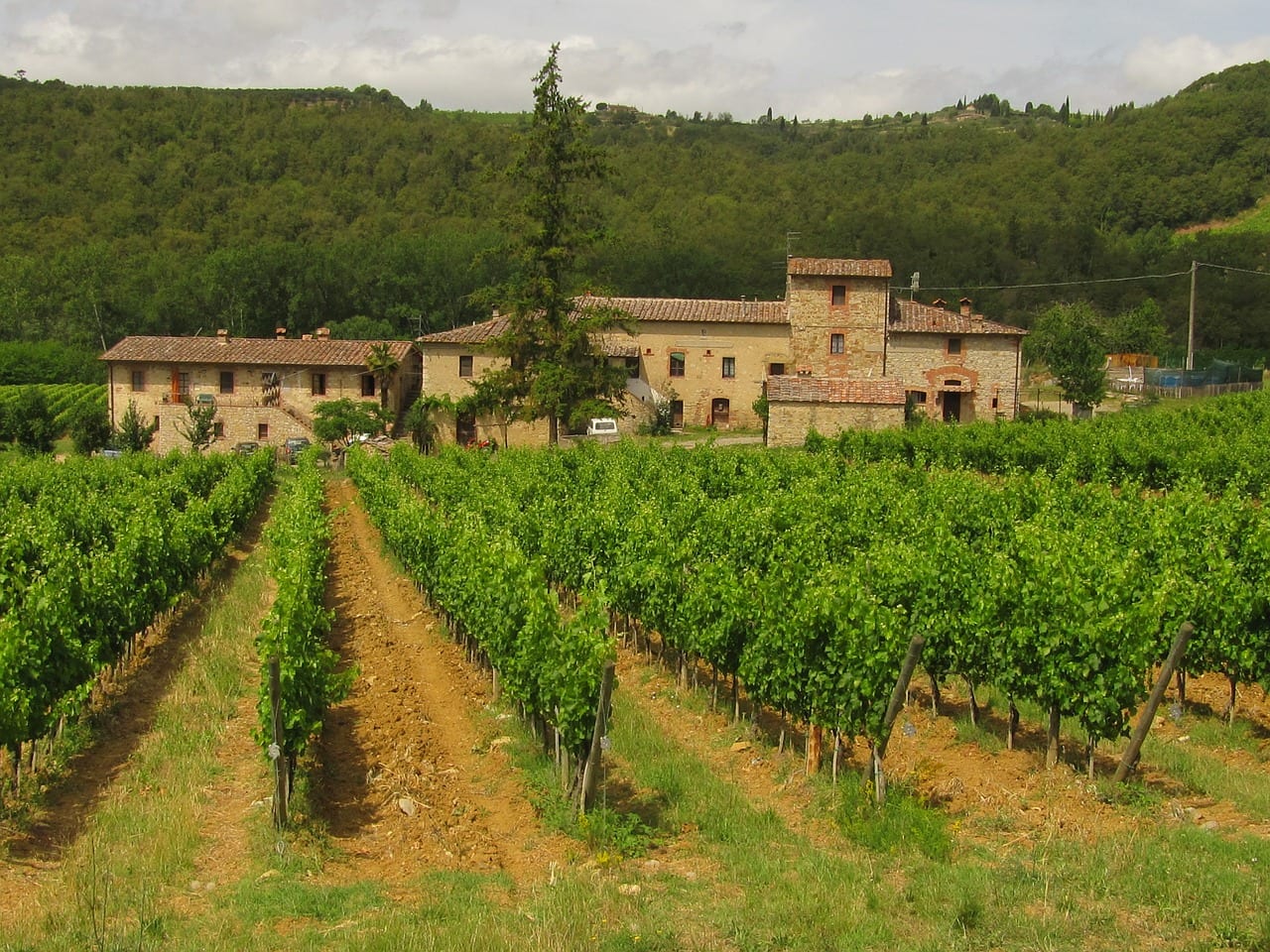 Chianti in Tuscany