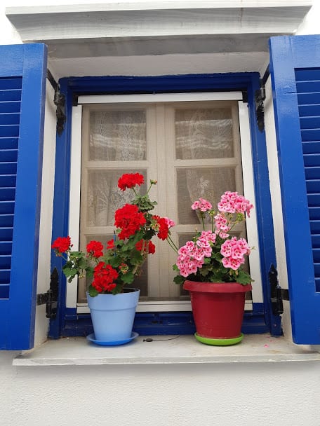 Flowers in a village in Tinos