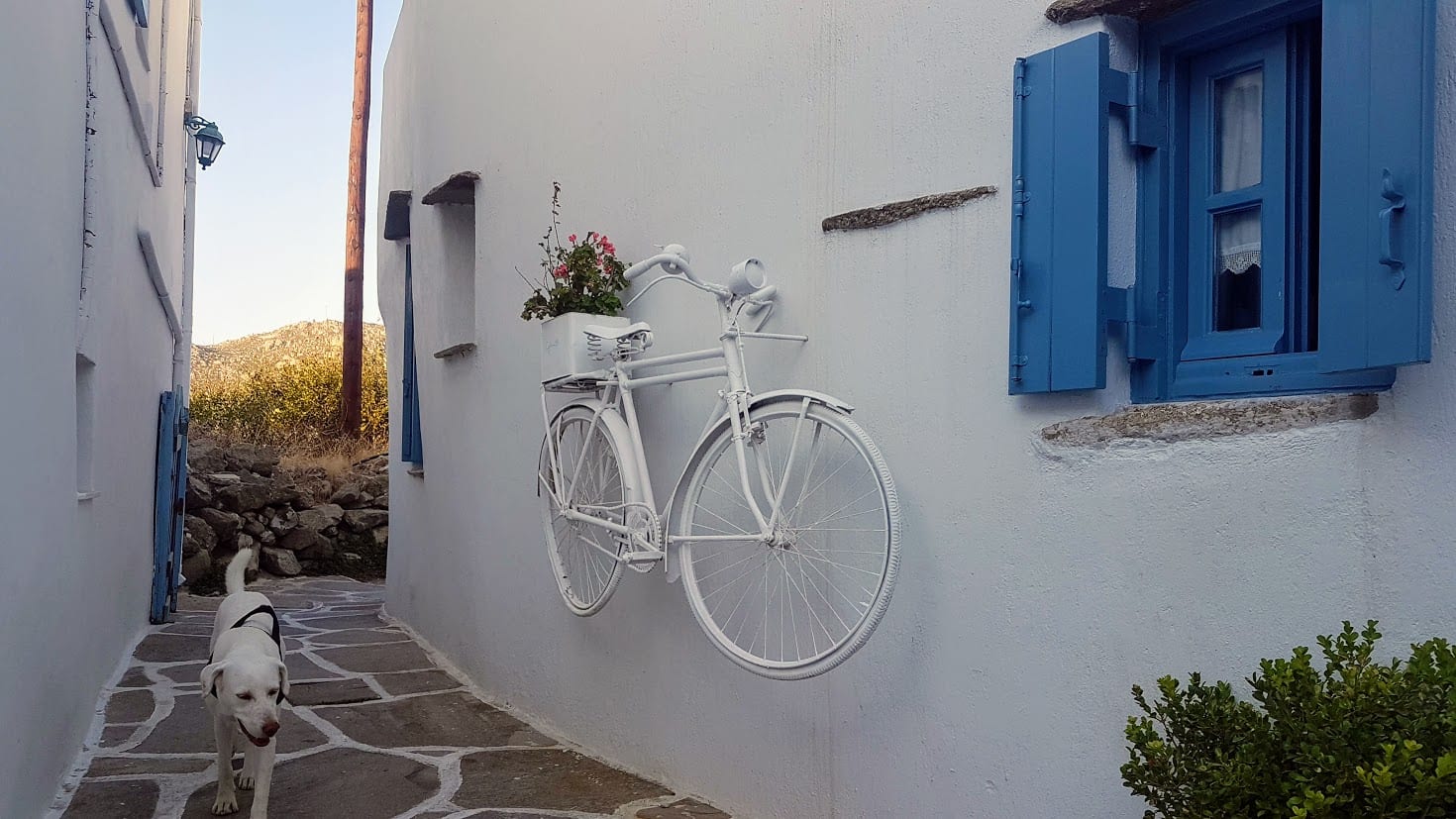 A side street of one of the villages of Tinos