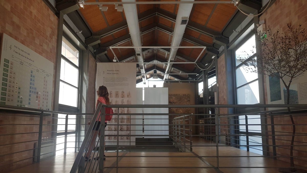 Inside the olive oil museum of Sparti