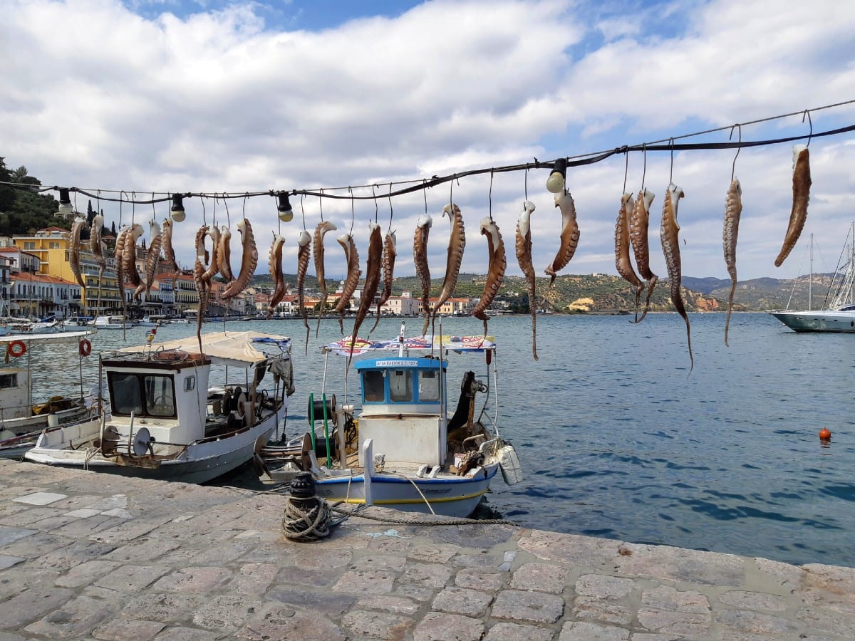 There's plenty of Octopus to be eaten in Gythion, Mani