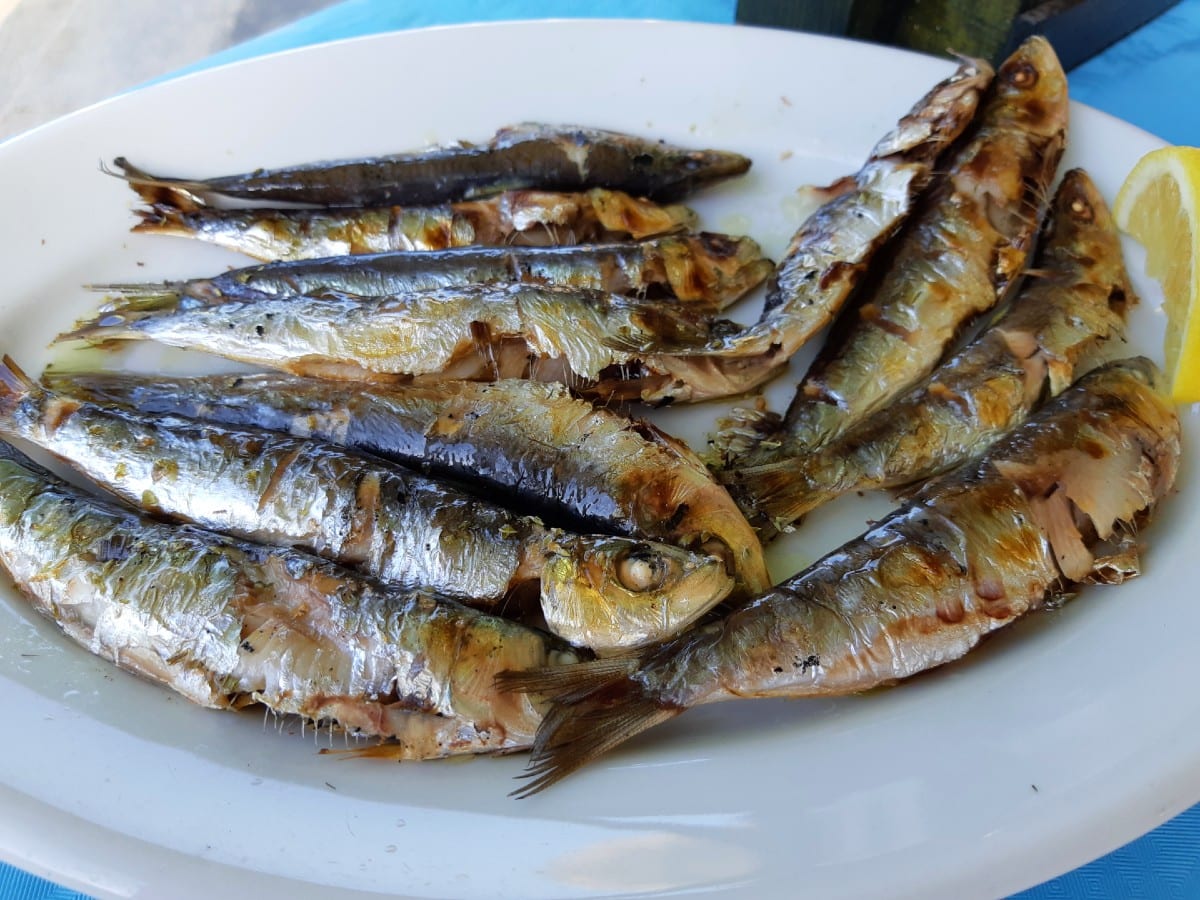 Sardines were a speciality in Porto Kagio, Mani