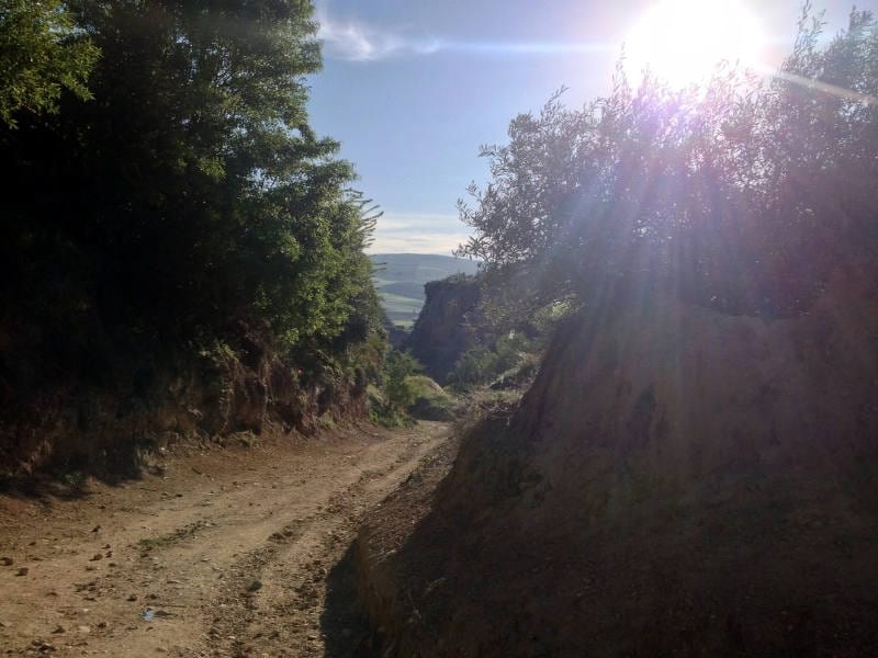 Walking in Spain