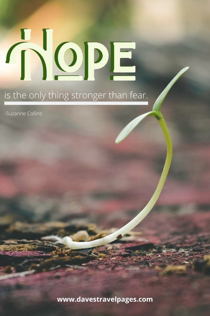 44. “Hope is the only thing stronger than fear.” - Suzanne Collins
