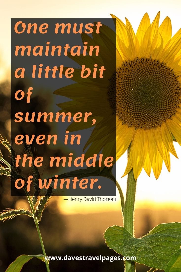 Summer and winter quotes - “One must maintain a little bit of summer, even in the middle of winter.” —Henry David Thoreau