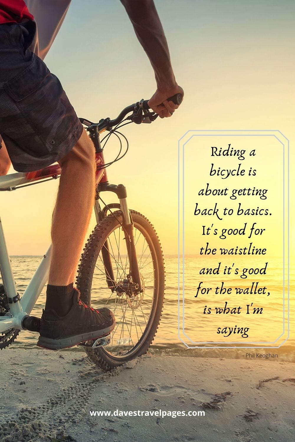 Bicycle riding quotes - Riding a bicycle is about getting back to basics. It's good for the waistline and it's good for the wallet, is what I'm saying. Phil Keoghan