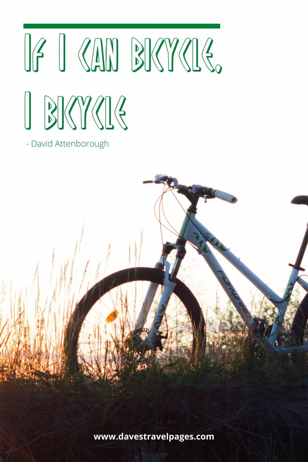 Cycling quotes - If I can bicycle, I bicycle. David Attenborough